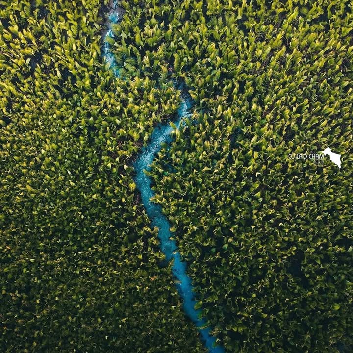 Đất nền Hội An 82m² giá chỉ 2.2 tỷ - Cơ hội vàng cho nhà đầu tư!