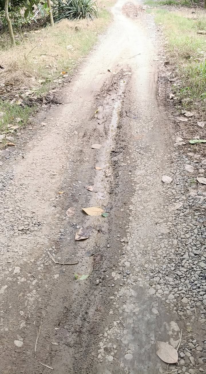 Đất nông nghiệp Hậu Mỹ Bắc A, Cái Bè 40.000m² giá 1.92 tỷ - Cơ hội đầu tư hấp dẫn!