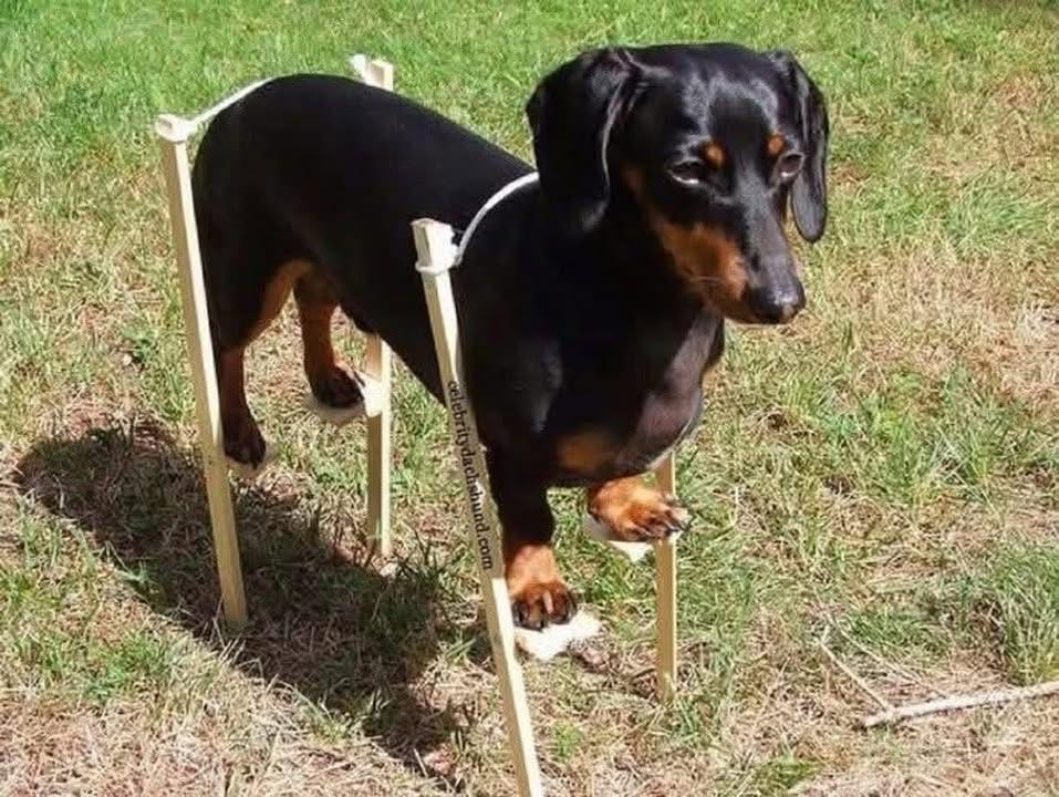 Đất nền Ninh Hòa 1588m² giá chỉ 8.94 tỷ - Cơ hội đầu tư tuyệt vời!