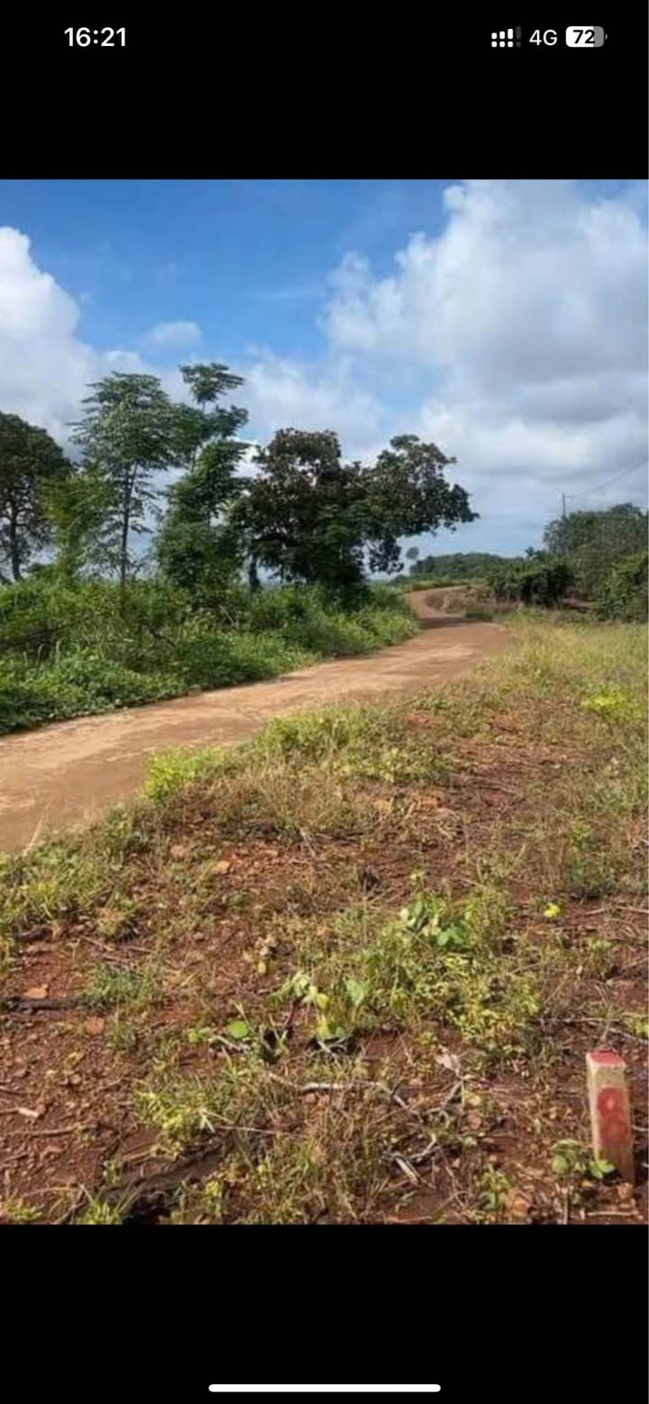 Đất nền Đồng Tâm, Đồng Phú 360m² giá 190 triệu - Cơ hội đầu tư tuyệt vời!