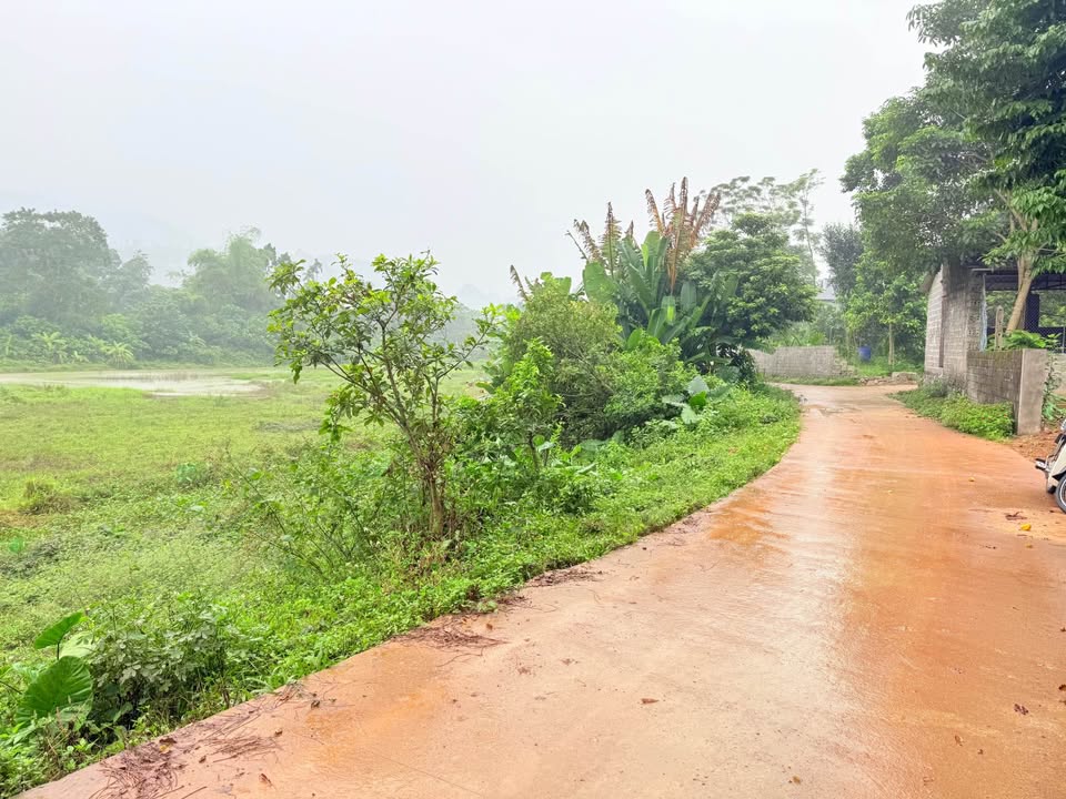 Lô đất Cư Yên, Lương Sơn, Hòa Bình 310m² giá 2 tỷ - Tiềm năng đầu tư lớn!