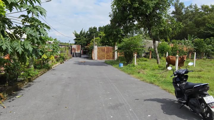 Đất thổ cư xã Tân An Hội, Củ Chi 95m² giá chỉ 1.69 tỷ - Sẵn sàng xây dựng ngay!