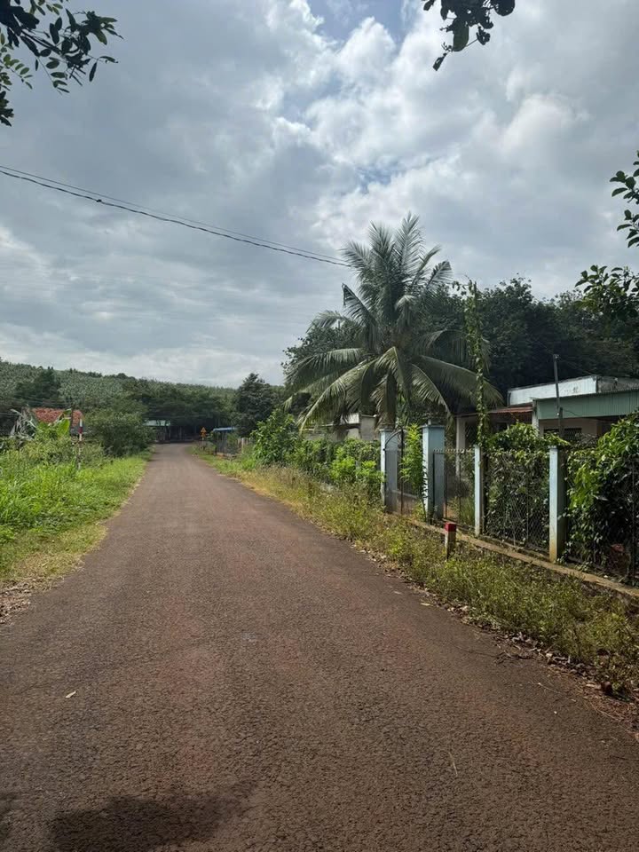 Đất nền Lộc An Lộc Ninh 24m² giá chỉ 220 triệu - Cơ hội đầu tư tuyệt vời!