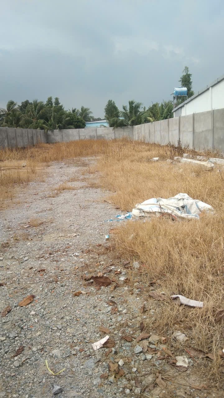 Đất nền Cờ Đỏ 1156m² giá 8 tỷ - Mặt tiền đường nhựa 919, thuận tiện đầu tư!