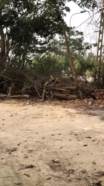 Đất cho thuê tại Quảng Thịnh, Thanh Hóa 1000m² - Phù hợp cho xưởng và kho bãi!