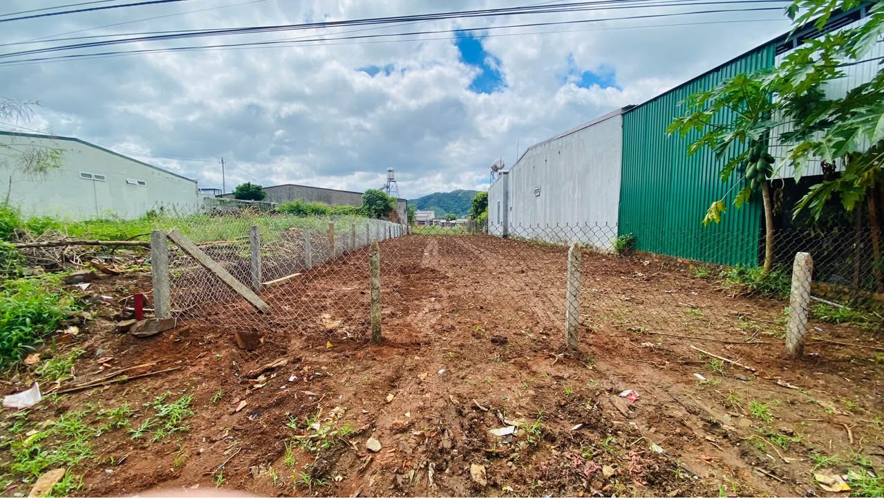 Đất mặt tiền kinh doanh Thôn 8, Cư Bua, 400m² giá 2.95 tỷ - Cơ hội đầu tư tuyệt vời!