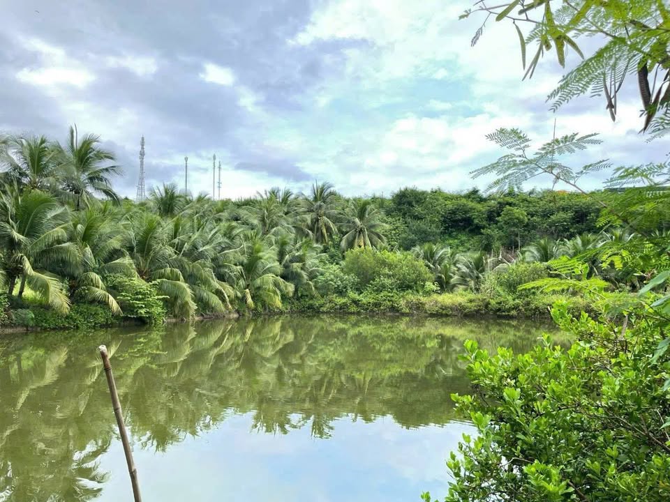 Lô đất Farm 2145m² tại Ninh Ích, Ninh Hòa - Giá chỉ 599 triệu, sổ hồng riêng!