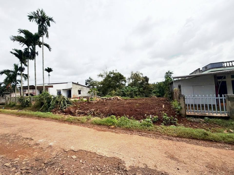 Đất thổ cư 850m² tại đường Hàm Nghi, Buôn Hồ - Giá chỉ 3.39 tỷ!