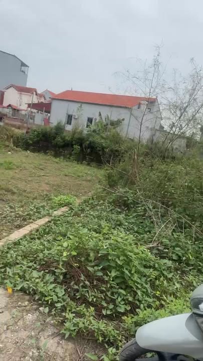 Đất thổ cư 63m² xã Long Xuyên, Phúc Thọ - Giá chỉ 1 tỷ, sổ đỏ chính chủ!