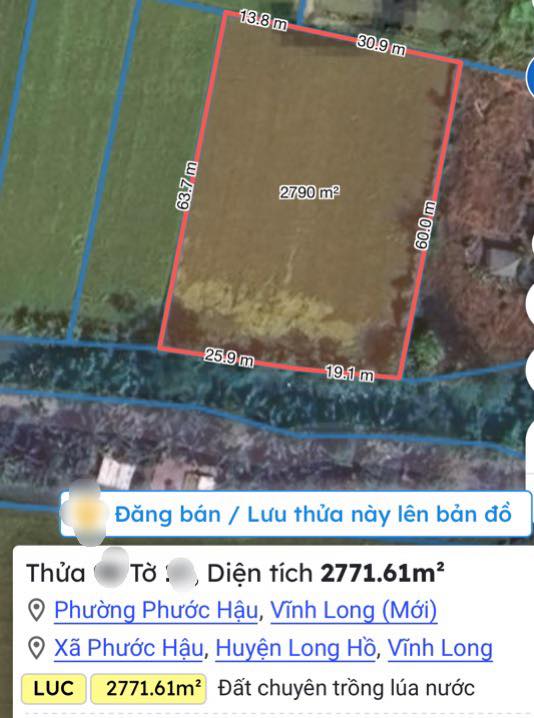 Đất lúa 2800m² Phước Hậu, Long Hồ - Giá chỉ 550 triệu!