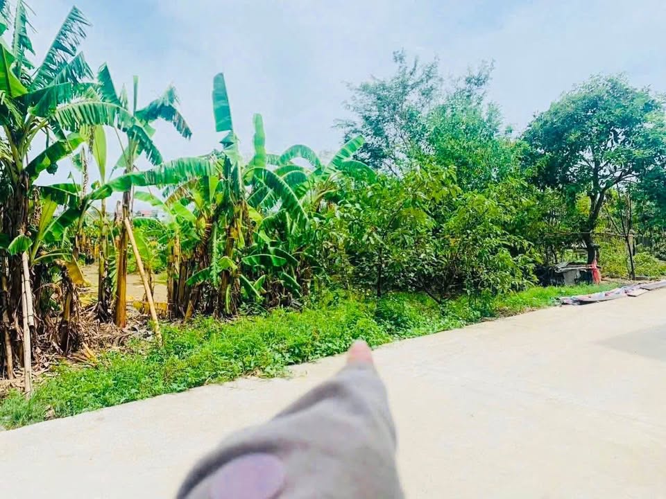 Đất nền Hưng Đông 100m² giá thỏa thuận - Vị trí đắc địa gần Ga Vinh!