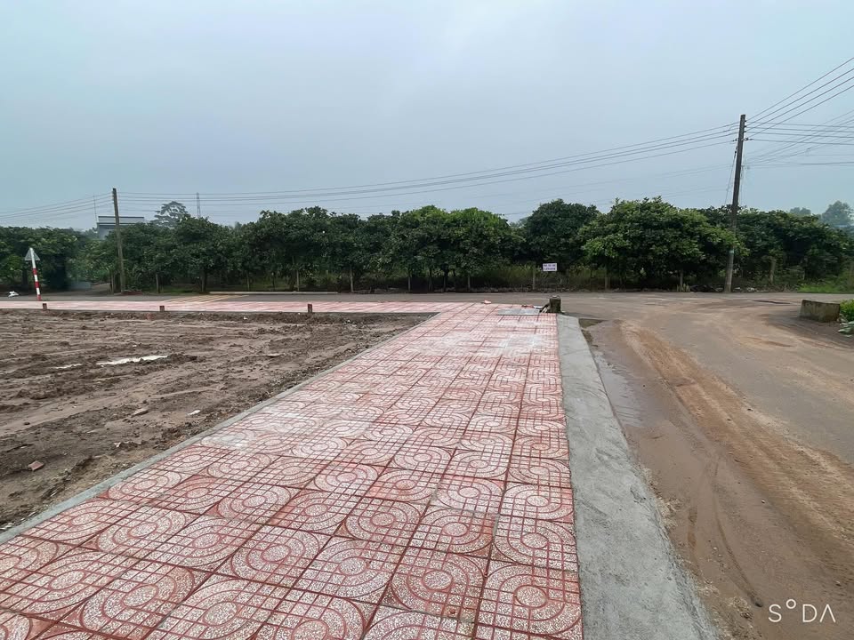 Đất nền Long Phước, Long Thành 145m² - Pháp lý rõ ràng, đầu tư sinh lời!