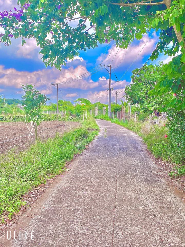 Đất nền Xuân Hiệp, Xuân Lộc 150m² - Tiềm năng đầu tư vượt trội!