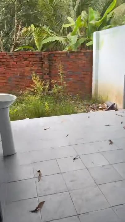 Nhà riêng xã Phước Thái Long Thành 158m² giá thỏa thuận - Sổ đỏ chính chủ, sang tên ngay!