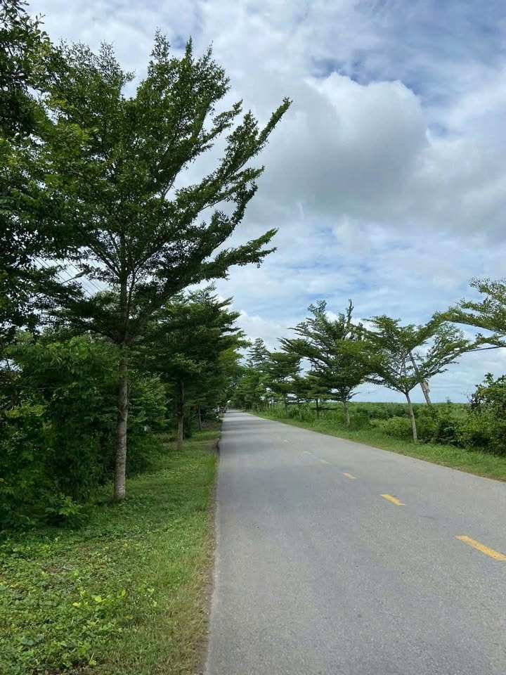 Đất nền 6m mặt tiền đường Trà Võ Đất Sét 240m² giá 1 tỷ - Sổ đỏ chính chủ!