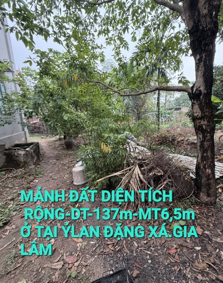 Đất nền 137m² đường Ỷ Lan, Gia Lâm giá 6 tỷ - Tiềm năng phát triển lớn!