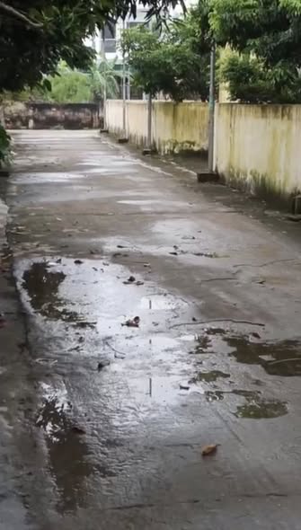 Đất nền Nam Tiền Hải 104m² giá chỉ 4xx triệu - Mặt tiền 6m, ô tô vào tận nơi!