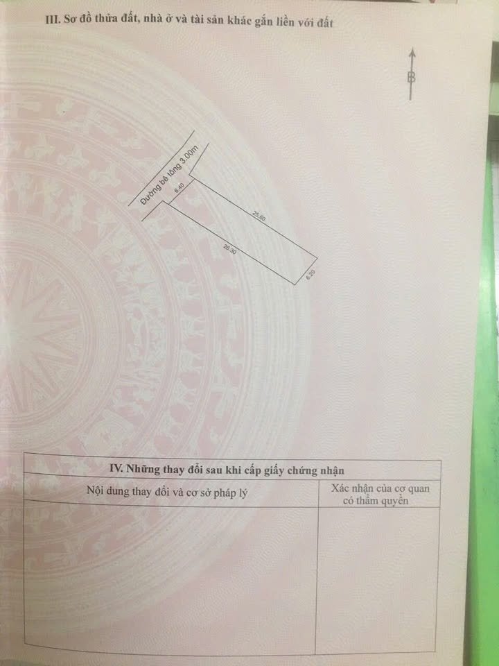Đất nền Hòa Vang Đà Nẵng 160m² giá 900 triệu - Đường ô tô vào tận nơi!