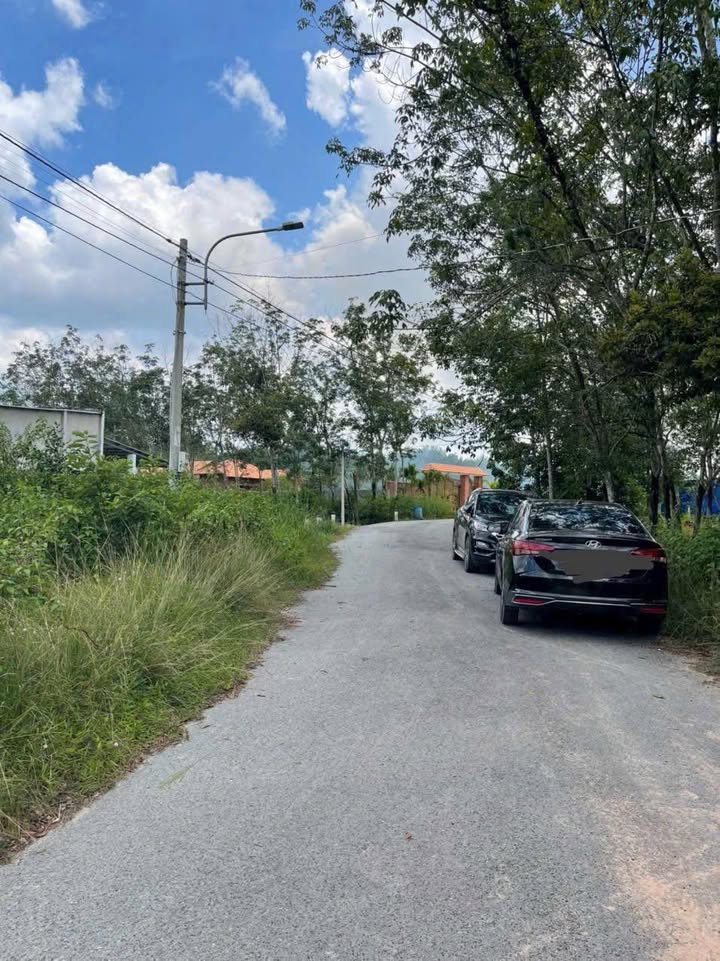 Đất nền Bàu Bàng 360m² giá 1.3 tỷ - Mặt tiền đường nhựa thuận lợi!