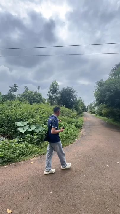 Đất nền lô góc 2 mặt tiền đường Nguyễn Xuân Nguyên, Tân An, 800m² chỉ 3.7 tỷ - Cơ hội đầu tư sinh lời!