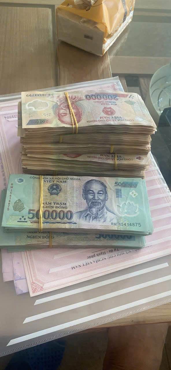 Đất nền Tân Học - Thái Thụy 110m² giá 500 triệu - Tiềm năng sinh lời cao!