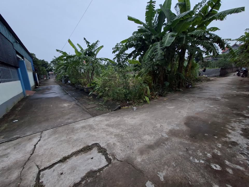 Đất lô góc 220m² tại Tân Mỹ 2 Phú Cường giá chỉ 3 tỷ - Cơ hội đầu tư tuyệt vời!