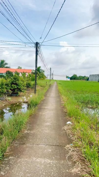 Nhà ở Tân An 310m² giá 1.5 tỷ - Chính chủ bán gấp!