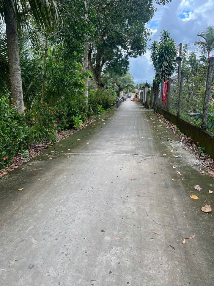 Đất nền 84,91m² tại An Bình, Cần Thơ - Giá chỉ 1,05 tỷ - Đầu tư sinh lời!