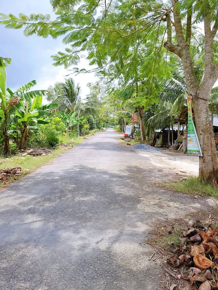 Đất mặt tiền lộ nhựa 1.385m² xã Trường Long, giá 1.8 tỷ - Cơ hội đầu tư tuyệt vời!