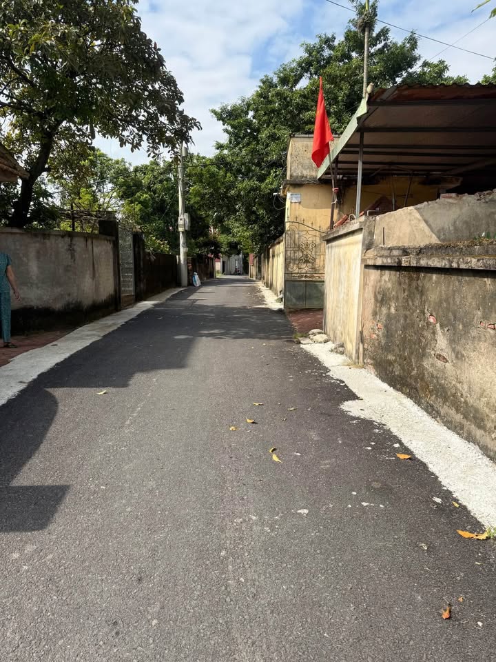 Đất nền góc 85m² tại Mai Xá, Đại Xuyên, Hà Nội - Giá chỉ 2 tỷ!