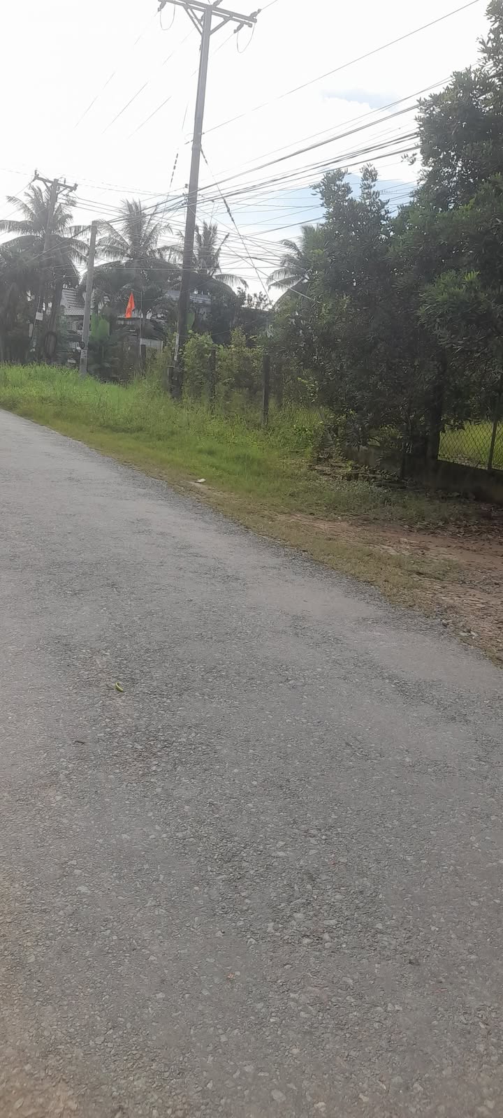 Đất nền 2700m² tại Giồng Trôm - Đường HL173 - Giá chỉ 5.94 tỷ