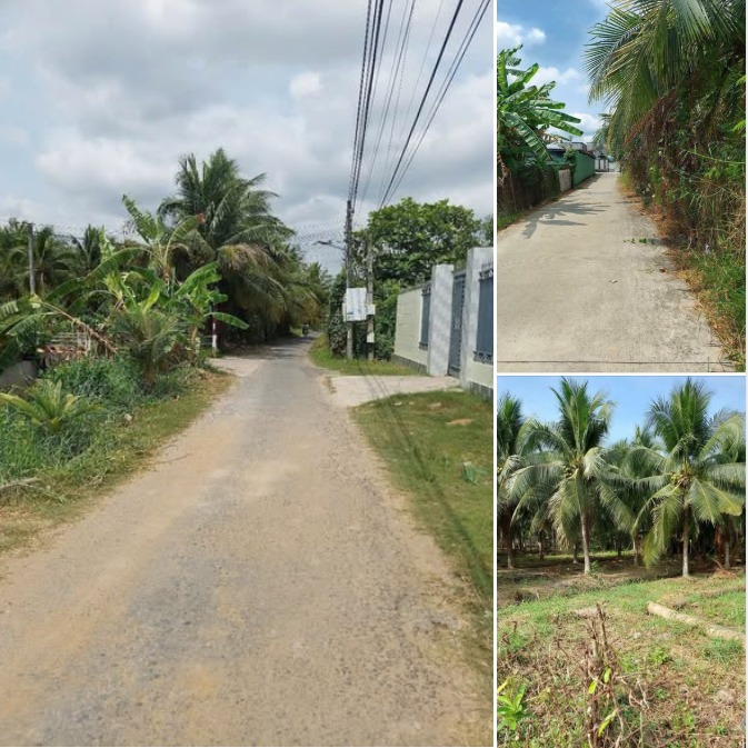 Đất vườn dừa Phú Tân, Bến Tre 1058m² - Giá chỉ 3.5 triệu/m²!