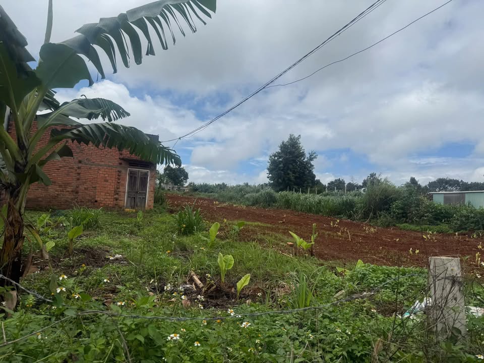 Đất nền mặt tiền Nguyễn Xí, phường Pleiku, 2640m² - Giá đầu tư chỉ 40.7 tỷ!