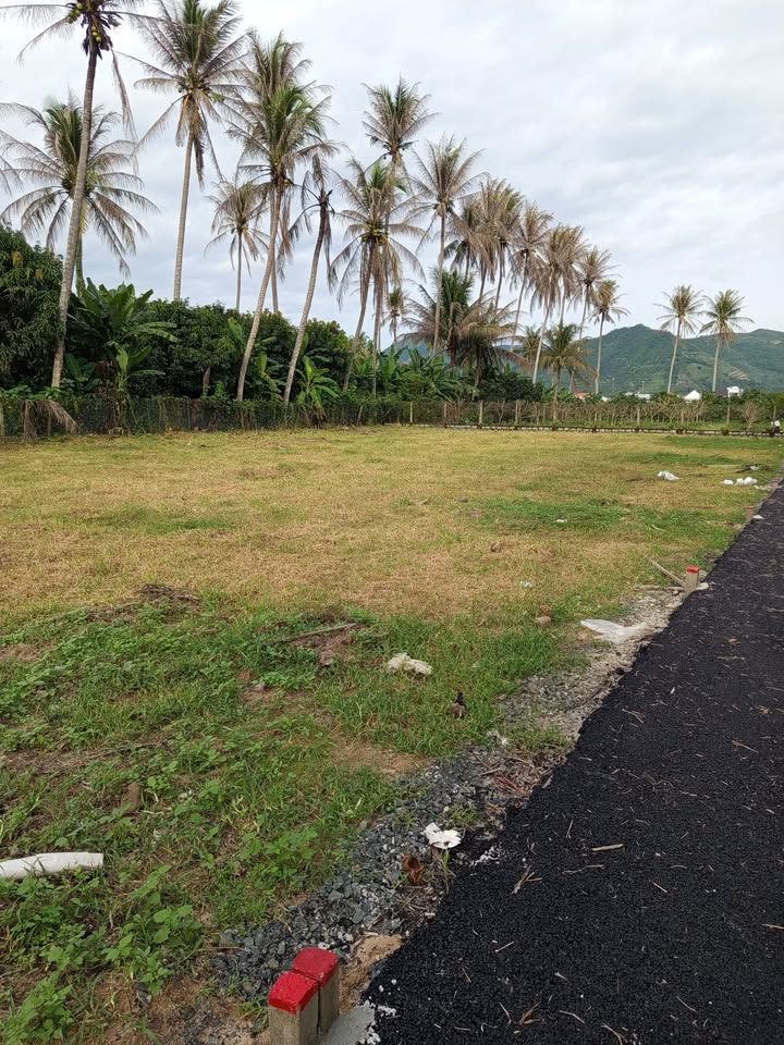 Đất thổ cư Cam Lâm 120m² giá 600 triệu - Sổ hồng chính chủ, gần chợ và trường học!