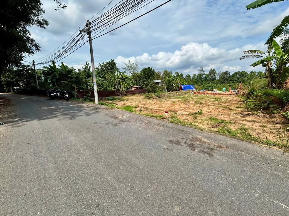 Đất Tân Định, Bến Cát 83.6m² giá 860 triệu - Cơ hội đầu tư hấp dẫn!