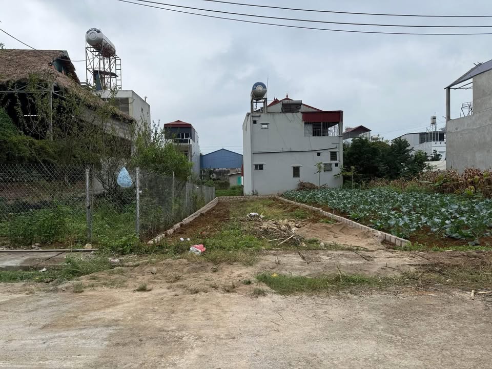 Lô đất trung tâm Mộc Châu 96m² giá chỉ 2 tỷ - Đầu tư sinh lời cao!