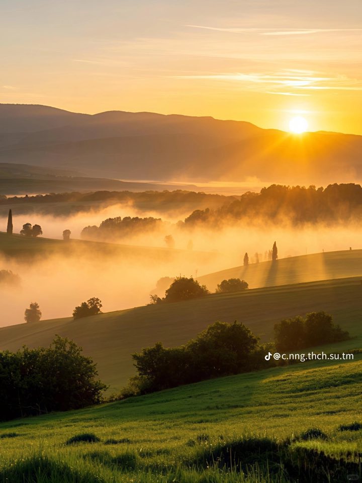 Đất nền Farm tại Hua Tạt, Vân Hồ, Sơn La 5.600m² chỉ 4 tỷ - Cơ hội đầu tư tuyệt vời!