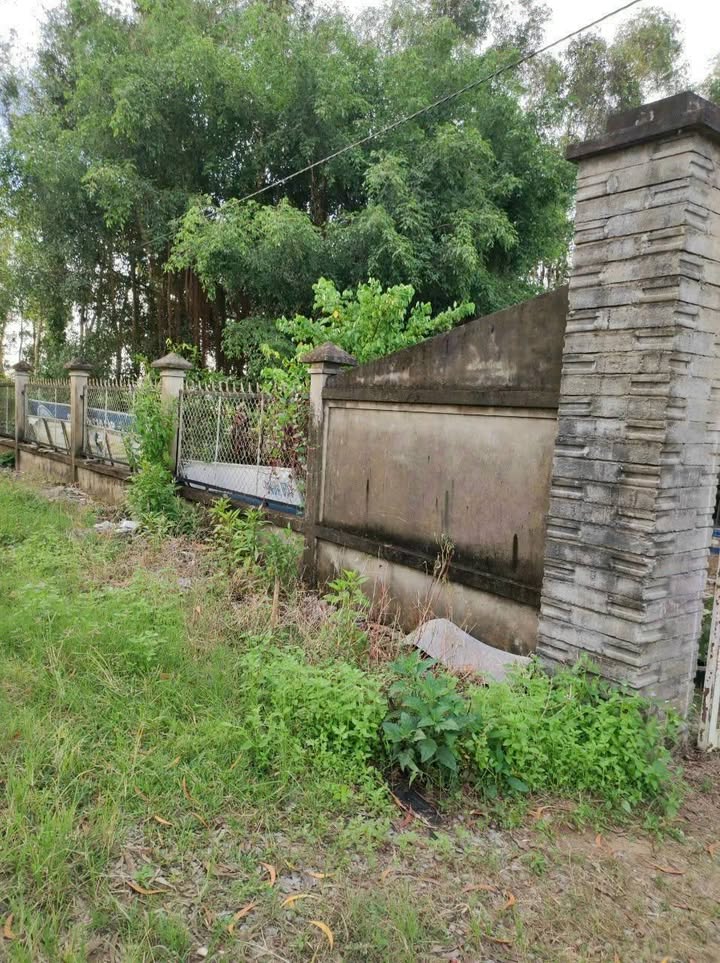 Đất nền mặt tiền Tỉnh lộ 962, Vĩnh Phước B, Gò Quao, Kiên Giang - Cơ hội đầu tư tuyệt vời!