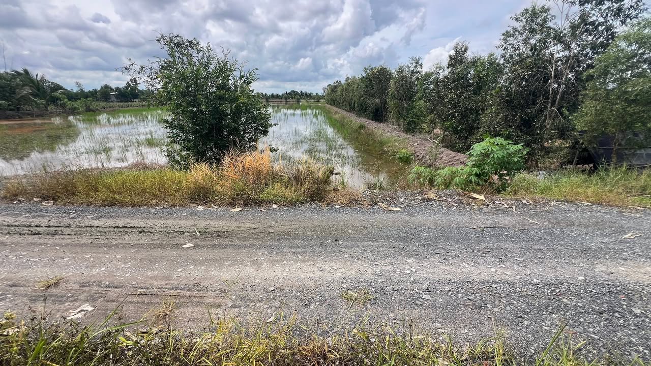 Đất thổ cư Hòa Khánh Nam 1000m² giá 4.8 tỷ - Mặt tiền đường xe hơi thuận lợi!