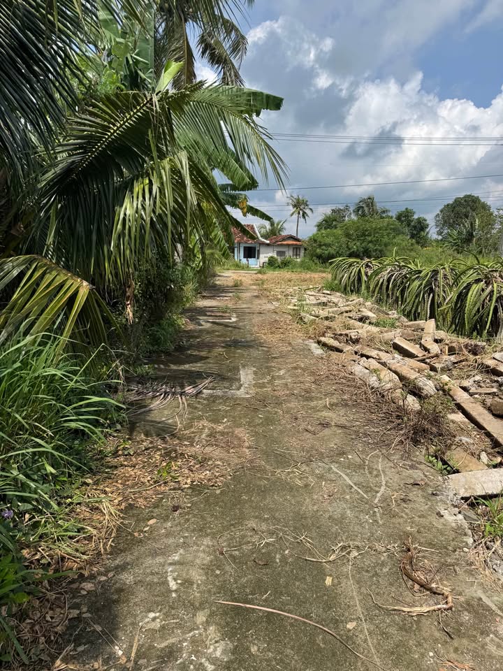 Đất thổ cư 2000m² tại xã Tuyên Quang, Hàm Thuận Nam - Giá chỉ 1.35 tỷ