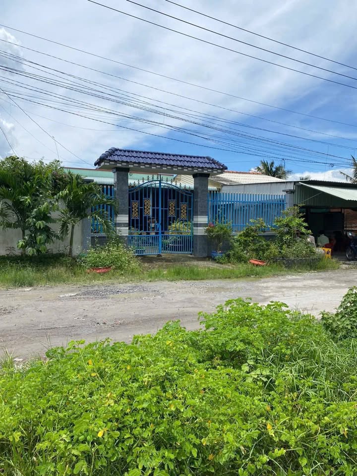 Nhà cấp 4 500m² tại phường Long An, Tây Ninh - Chính chủ bán gấp chỉ 1.5 tỷ!