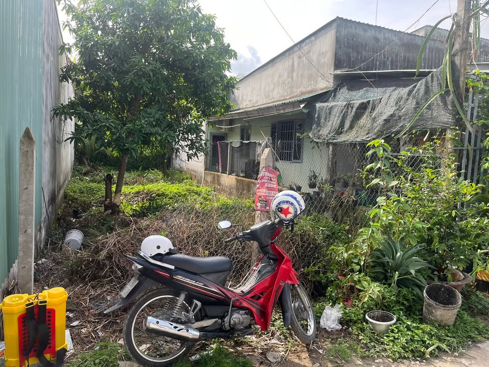 Đất nền Thạnh Lợi, Đức Hòa 100m² giá 1.35 tỷ - Pháp lý rõ ràng, xây dựng tự do!