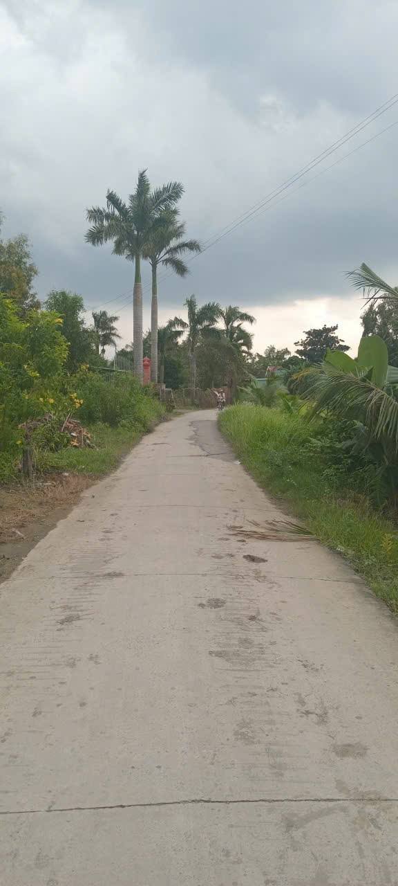 Nhà vườn Phước Lợi Bến Lức 1393m² giá 10 tỷ - Đường xe tải, dân cư đông đúc!