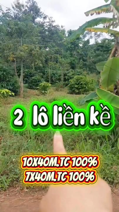 Đất thổ cư 400m² tại Ea Ning, Đắk Lắk - Chỉ 2.2 tỷ, đầu tư sinh lời ngay!