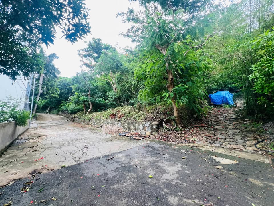 Bán biệt thự Đồi Sứ Vũng Tàu 920m² giá 110 tỷ - Không gian sống đẳng cấp!