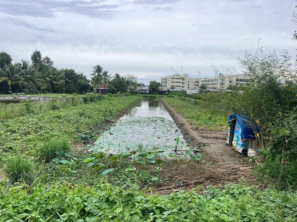 Đất nền 2881m² Tháp Mười, Đồng Tháp - Mặt tiền 23x126m, giá thỏa thuận!