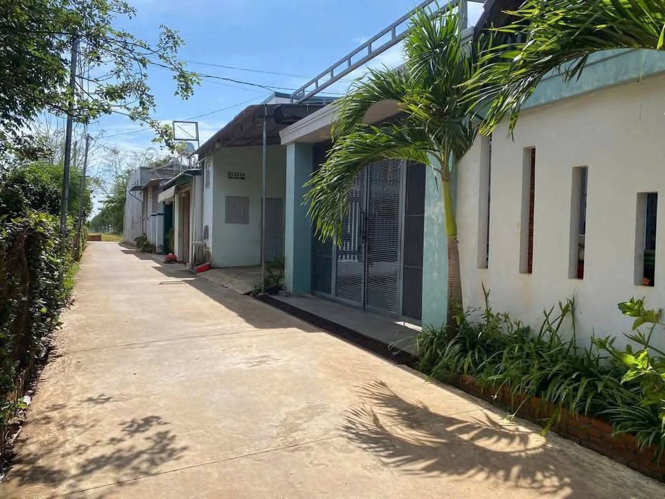 Đất thổ cư hẻm Thế Lữ 124m² giá 1.45 tỷ - Gần chợ đầu mối!