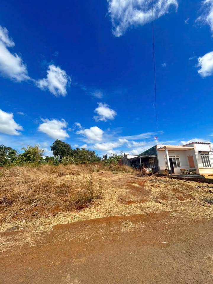 Đất thổ cư Hẻm C1 Tỉnh Lộ 5, Ea Bar 220m² giá 480 triệu - Sổ đỏ chính chủ!