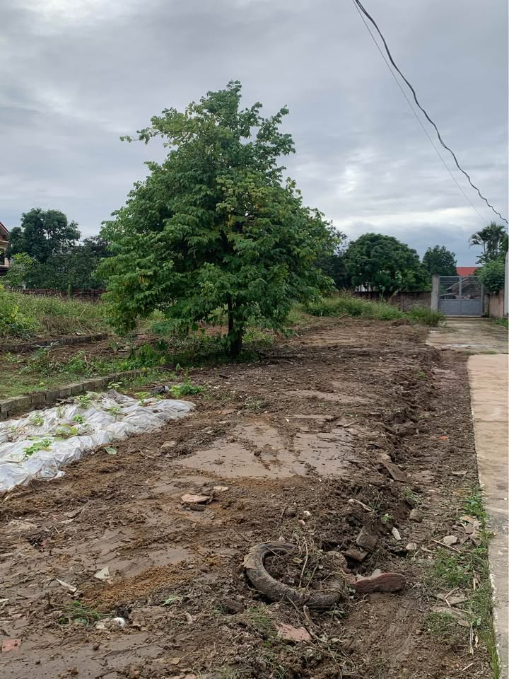 Đất nền thôn Việt Hùng, Hiệp Hoà 200m² giá 1 tỷ - Đầu tư sinh lời ngay!