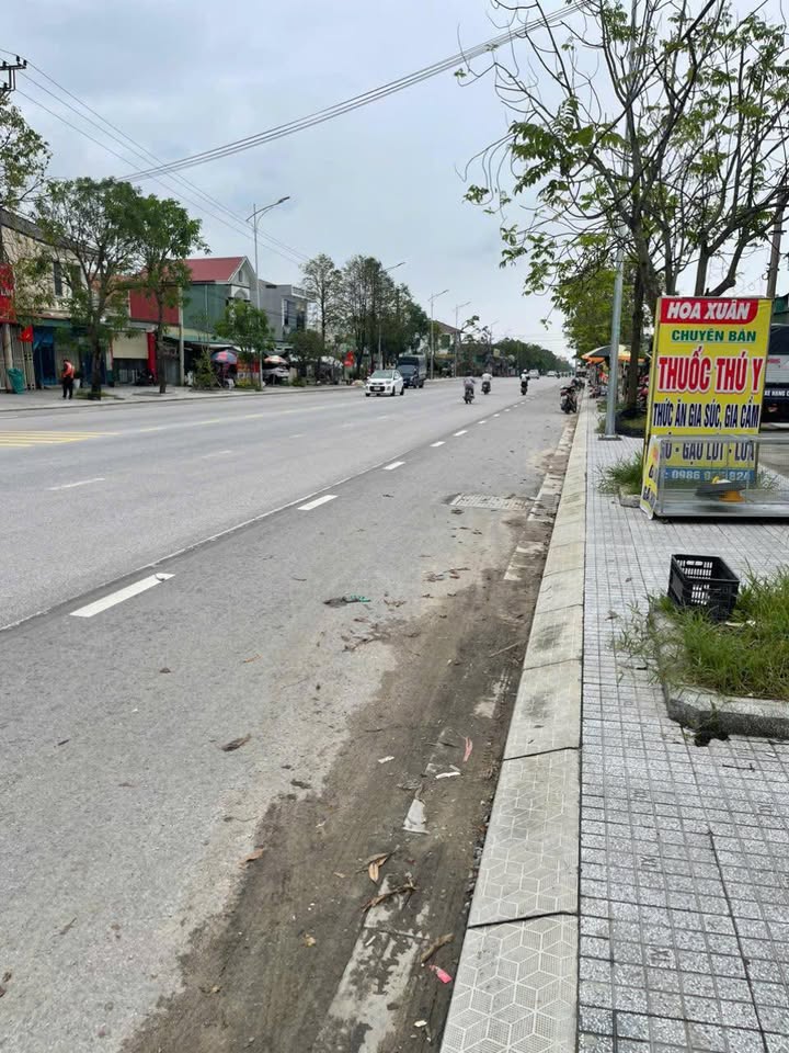 Đất mặt tiền đường Quang Trung, phường Trần Phú, 100m² chỉ 5 tỷ - Cơ hội đầu tư tuyệt vời!